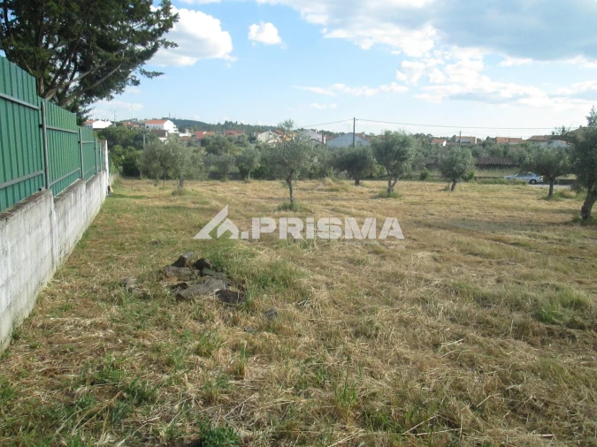 Terreno para Venda em Benquerenças Foto 10