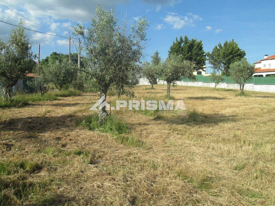 Terreno para Venda em Benquerenças Foto 15