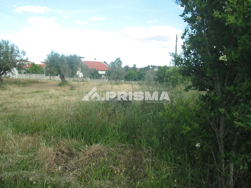Terreno para Venda em Benquerenças Foto 5