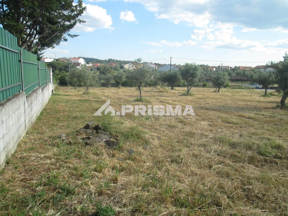 Terreno para Venda em Benquerenças Foto 10