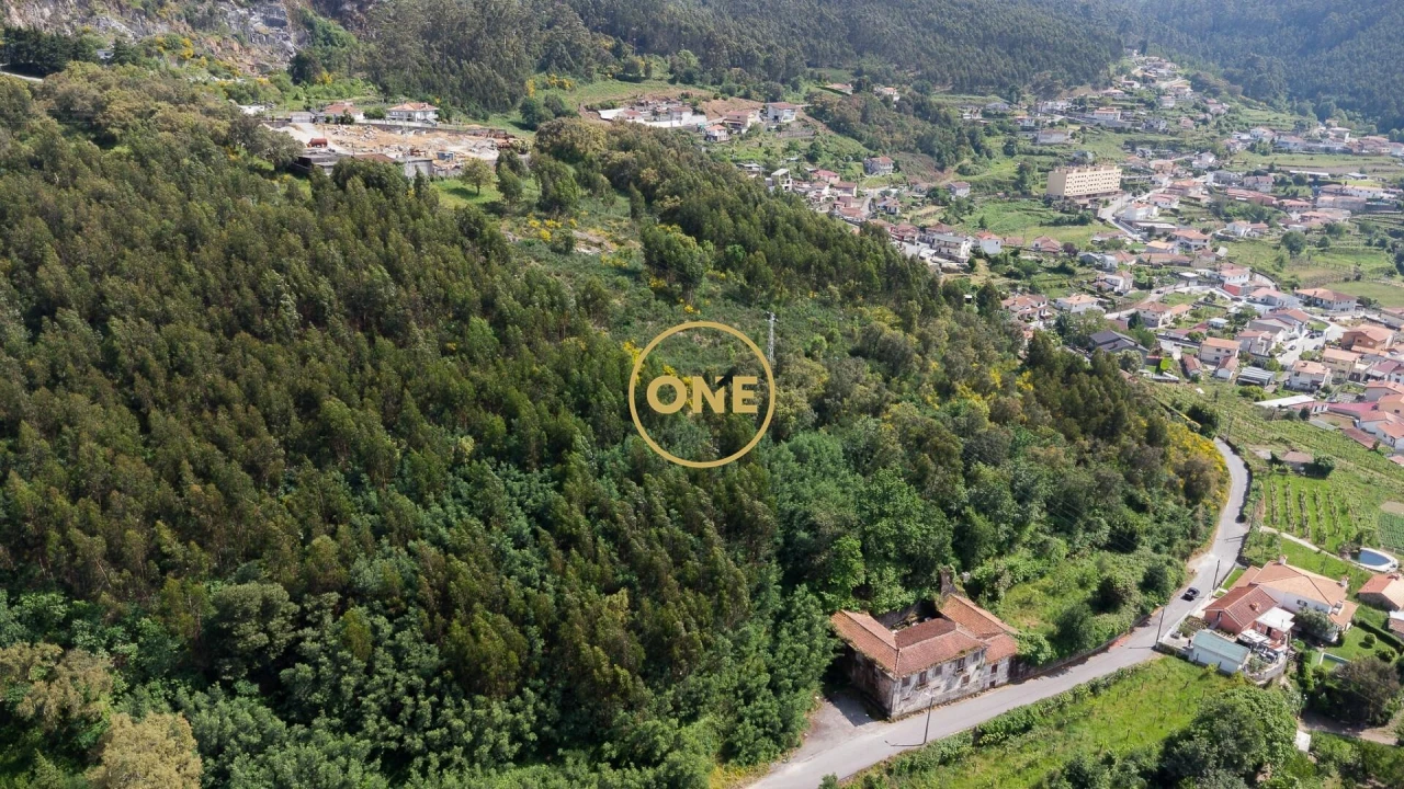 Terreno para Venda em São Tomé de Negrelos Foto 2
