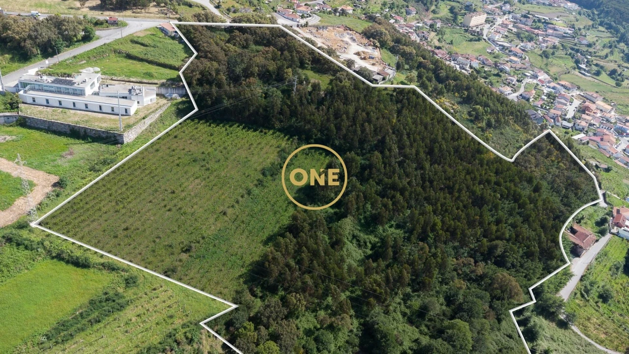 Terreno para Venda em São Tomé de Negrelos Foto 3