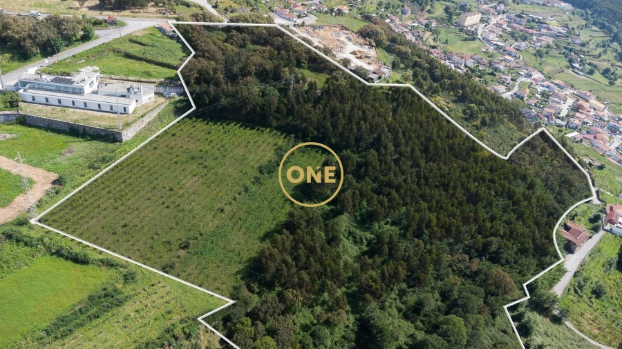 Terreno para Venda em São Tomé de Negrelos Foto 3