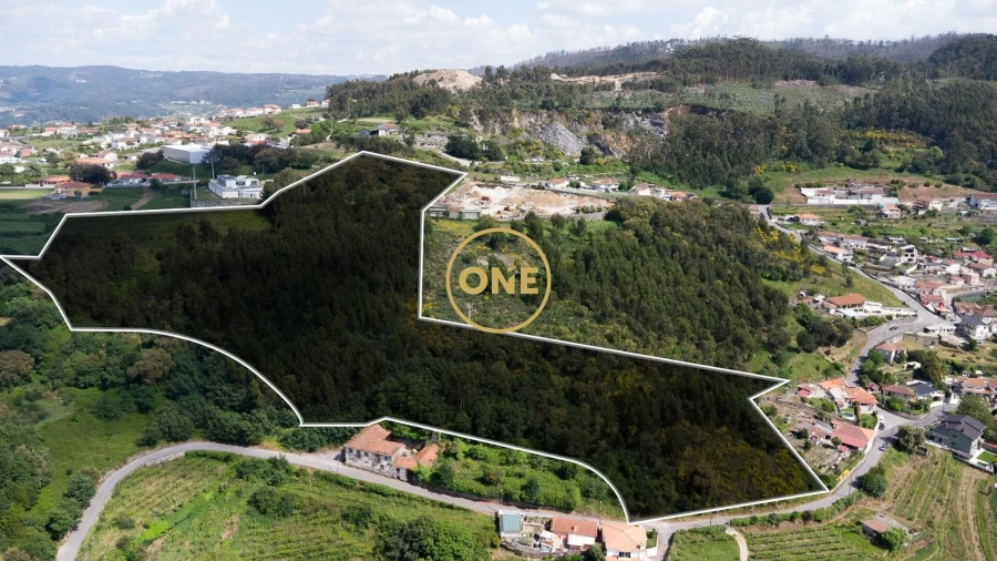 Terreno para Venda em São Tomé de Negrelos