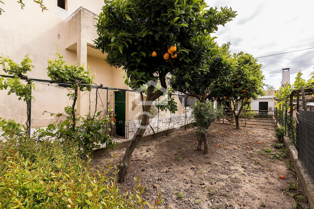 Moradia T4 para Venda em Pavia Foto 32