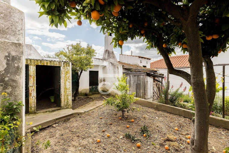 Moradia T4 para Venda em Pavia Foto 31