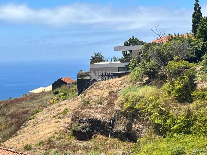 Terreno para Venda em Estreito da Calheta Foto 15