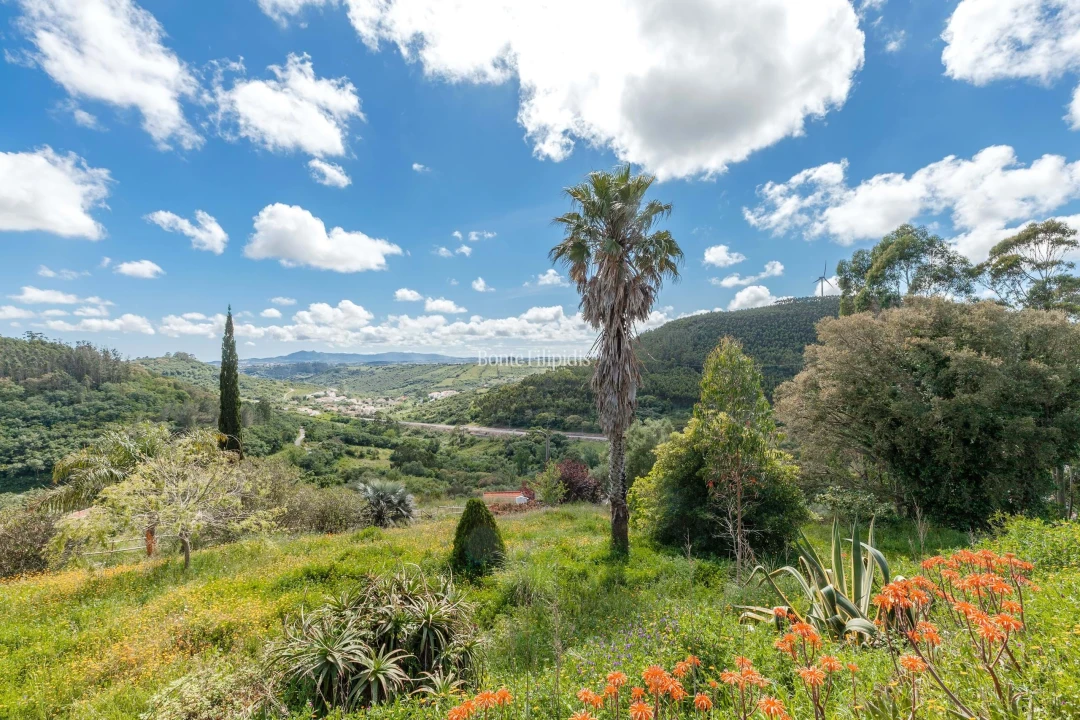 Moradia T6 para Venda em Igreja Nova e Cheleiros Foto 43