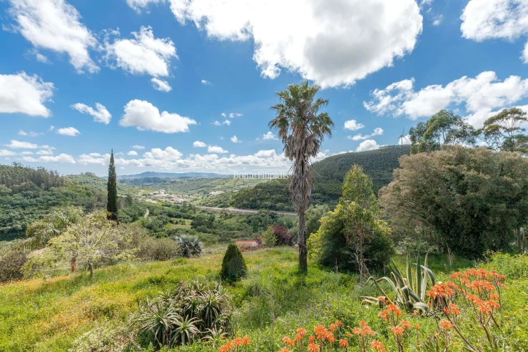 Moradia T6 para Venda em Igreja Nova e Cheleiros Foto 43