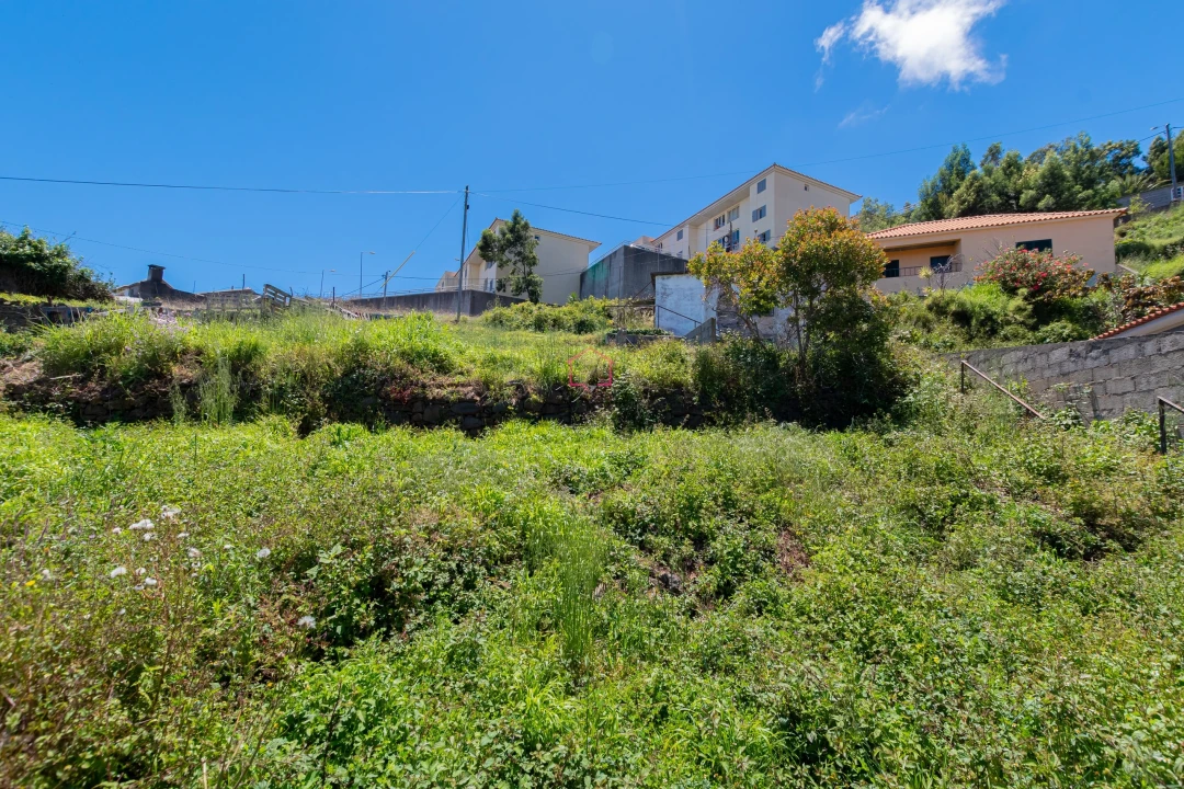 Terreno para Venda em Santa Cruz Foto 15