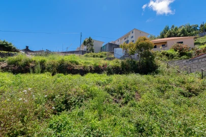 Terreno para Venda em Santa Cruz