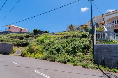 Terreno para Venda em Santa Cruz