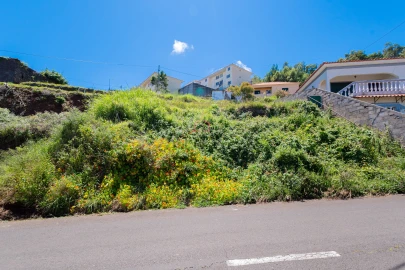 Terreno para Venda em Santa Cruz