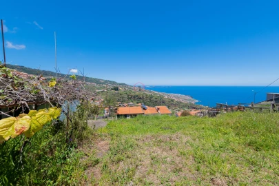 Terreno para Venda em Santa Cruz