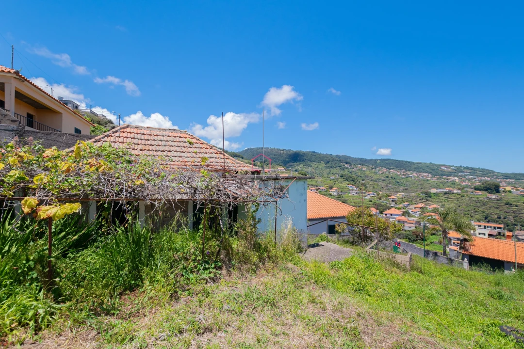 Terreno para Venda em Santa Cruz Foto 4