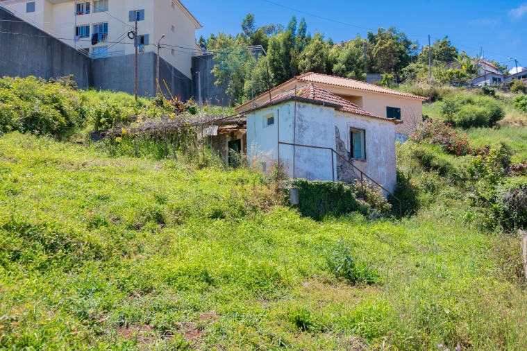 Terreno para Venda em Santa Cruz Foto 6