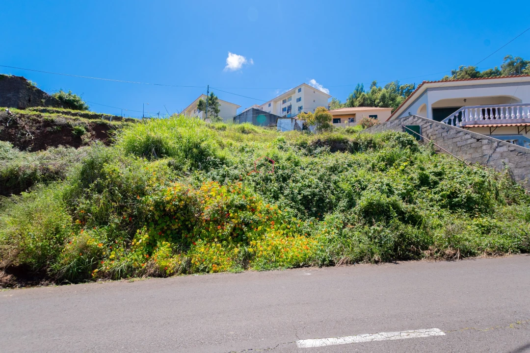 Terreno para Venda em Santa Cruz Foto 13
