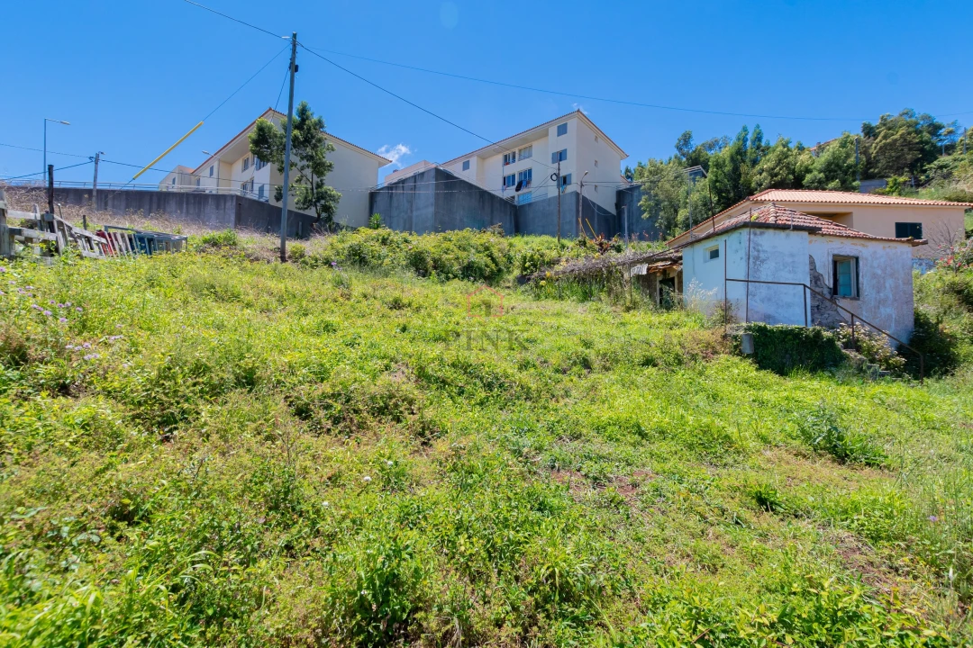 Terreno para Venda em Santa Cruz Foto 5