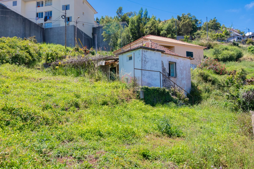 Terreno para Venda em Santa Cruz Foto 6