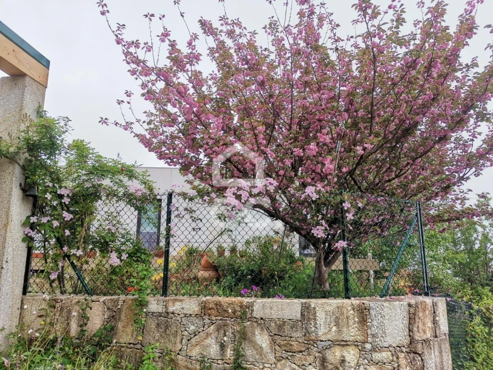 Moradia T3 para Venda em Ancora Foto 32