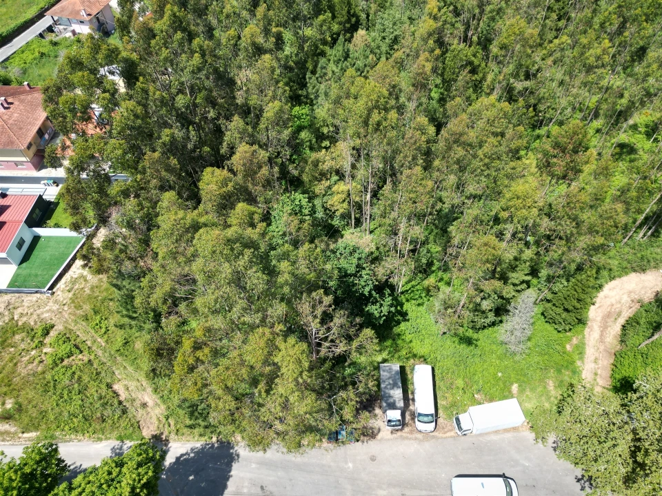 Terreno para Venda em Santa Maria da Feira, Travanca, Sanfins e Espargo Foto 1