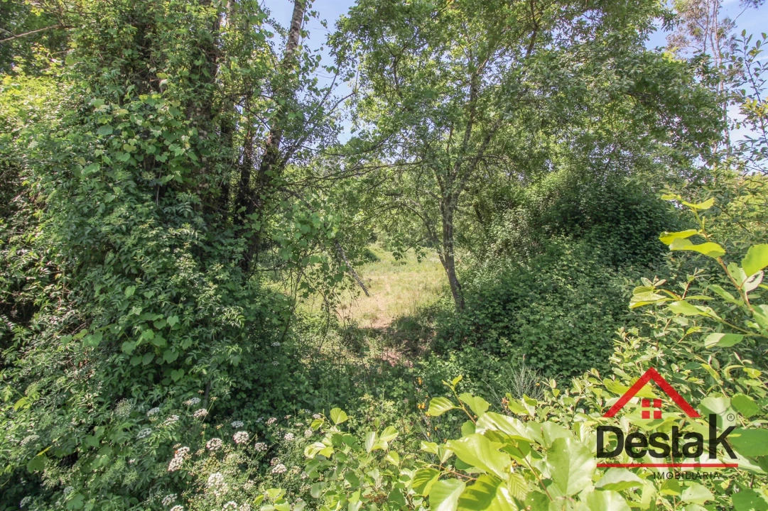 Terreno Agricola ou Rústico para Venda em Pinho Foto 12