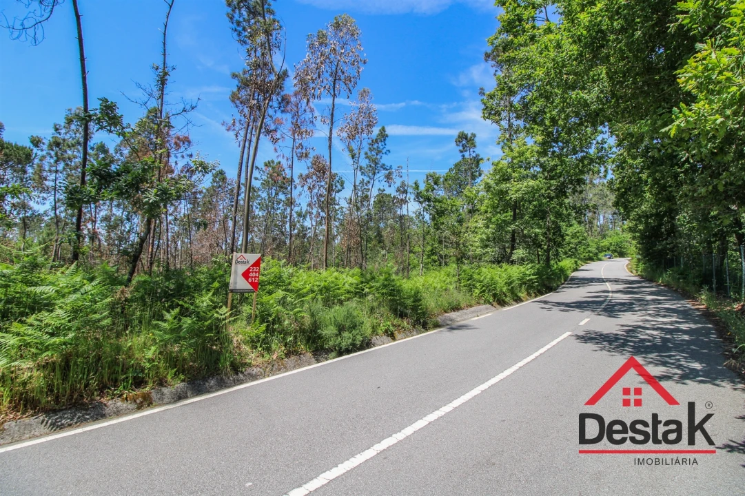 Terreno Agricola ou Rústico para Venda em Pinho Foto 7