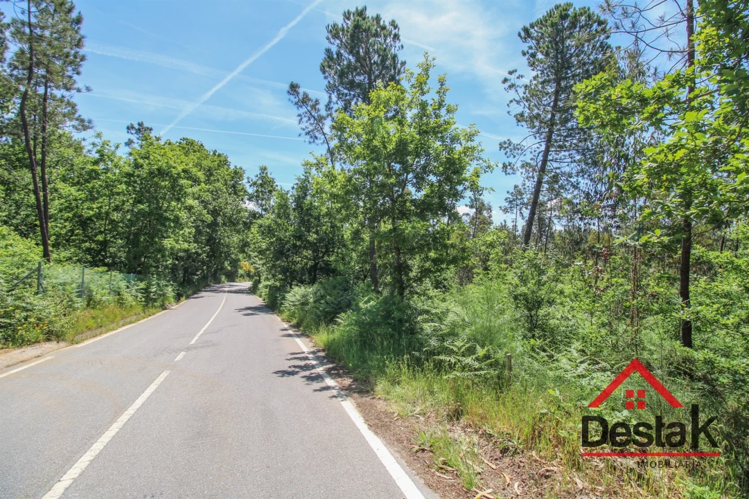 Terreno Agricola ou Rústico para Venda em Pinho Foto 4