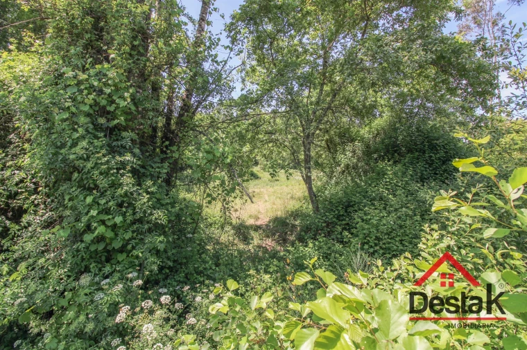 Terreno Agricola ou Rústico para Venda em Pinho Foto 12