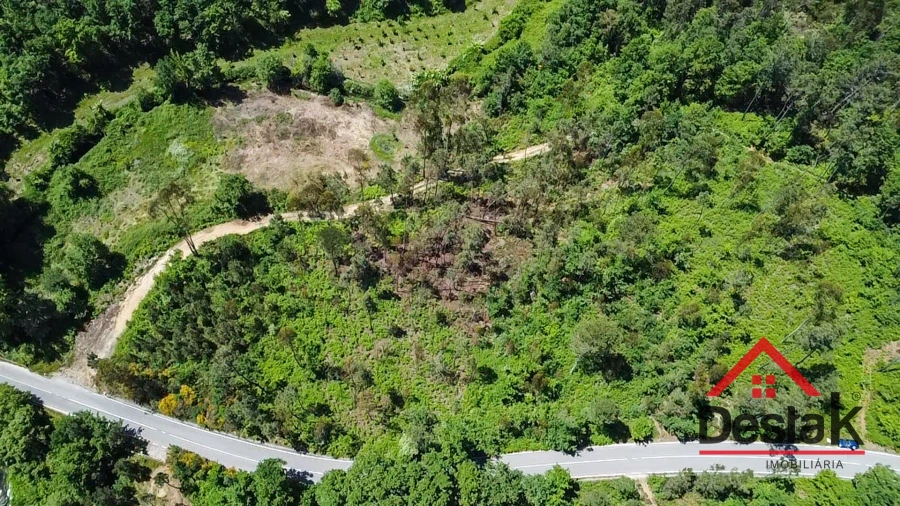 Terreno Agricola ou Rústico para Venda em Pinho Foto 2
