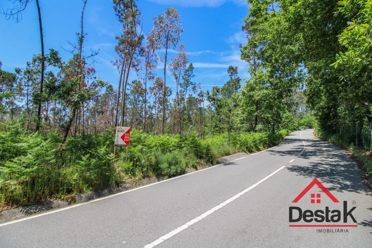 Terreno Agricola ou Rústico para Venda em Pinho Foto 7