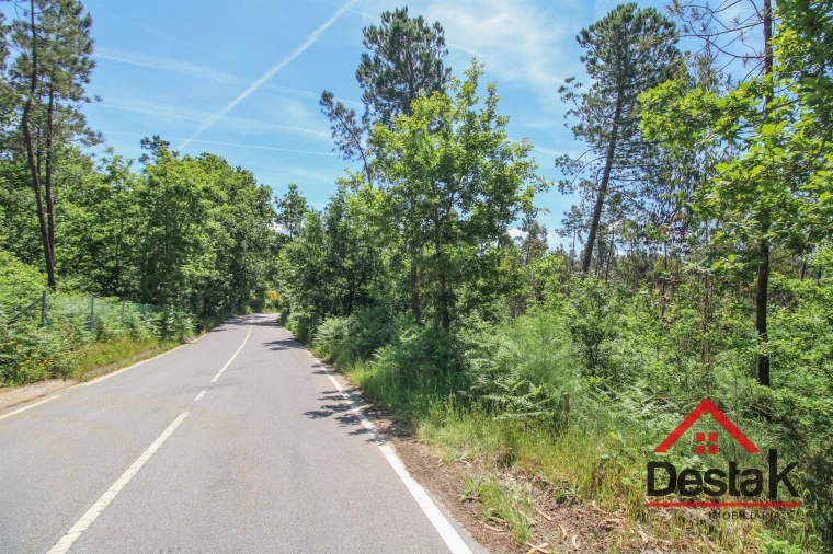 Terreno Agricola ou Rústico para Venda em Pinho Foto 4