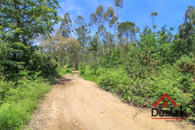 Terreno Agricola ou Rústico para Venda em Pinho Foto 9