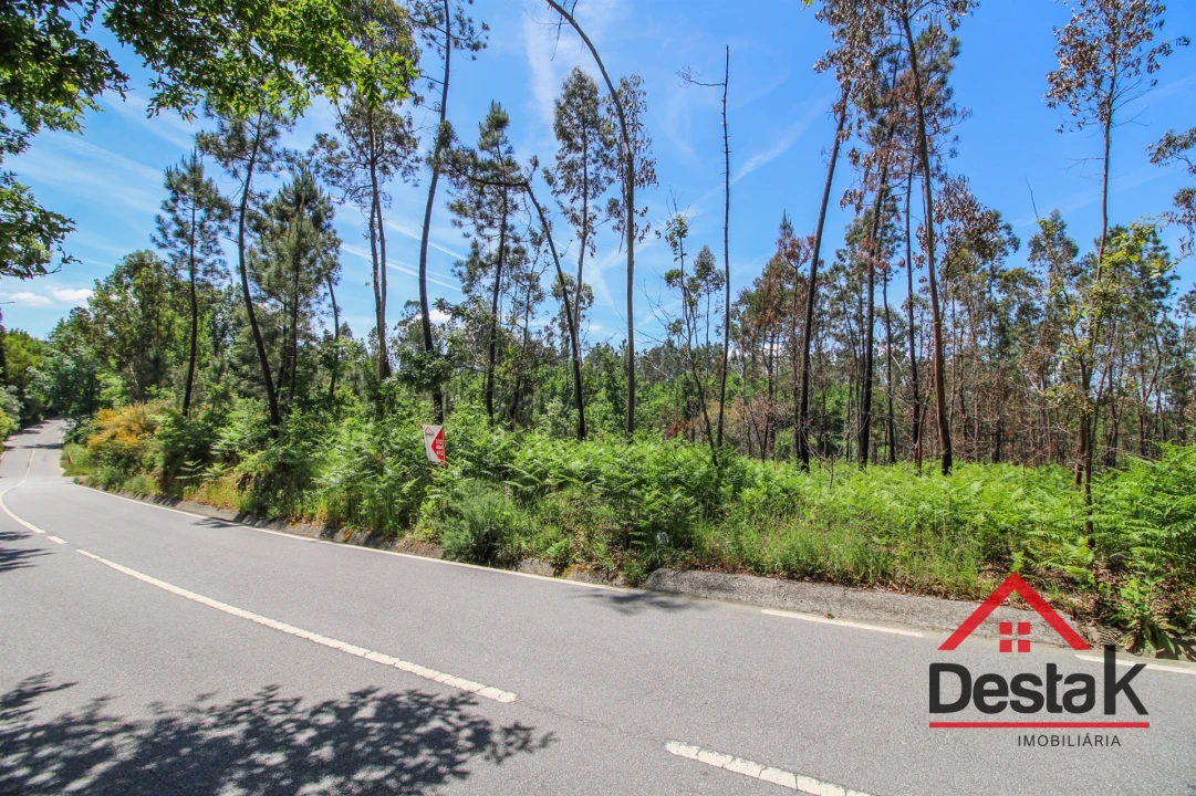 Terreno Agricola ou Rústico para Venda em Pinho Foto 6