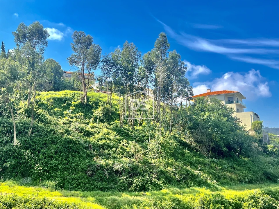 Terreno para Venda em Rebordosa Foto 3