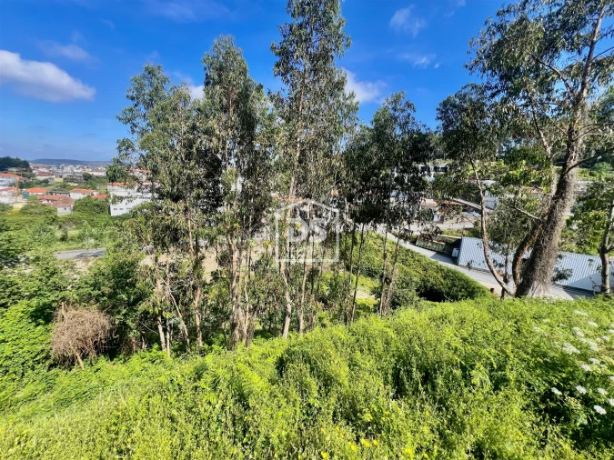 Terreno para Venda em Rebordosa Foto 10