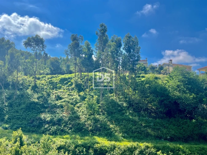 Terreno para Venda em Rebordosa Foto 5