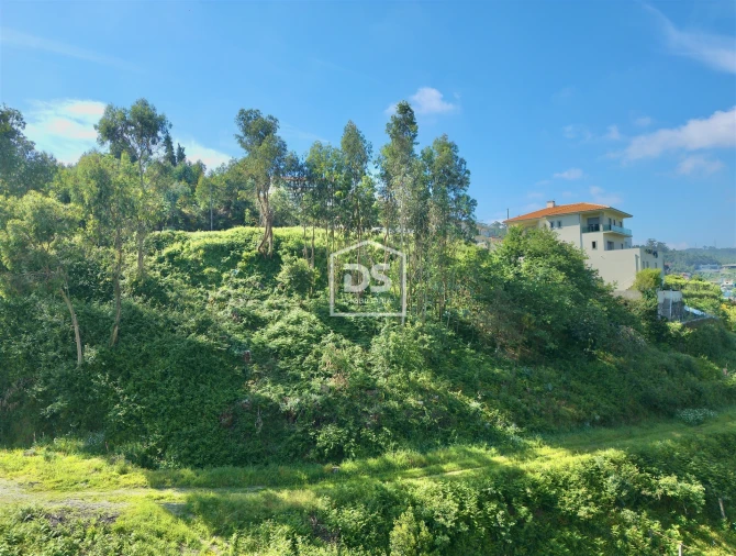 Terreno para Venda em Rebordosa