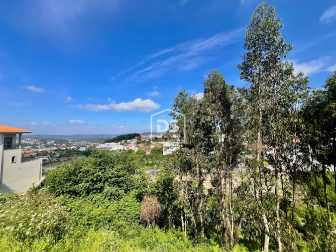 Terreno para Venda em Rebordosa Foto 11