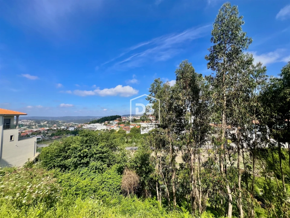 Terreno para Venda em Rebordosa Foto 11