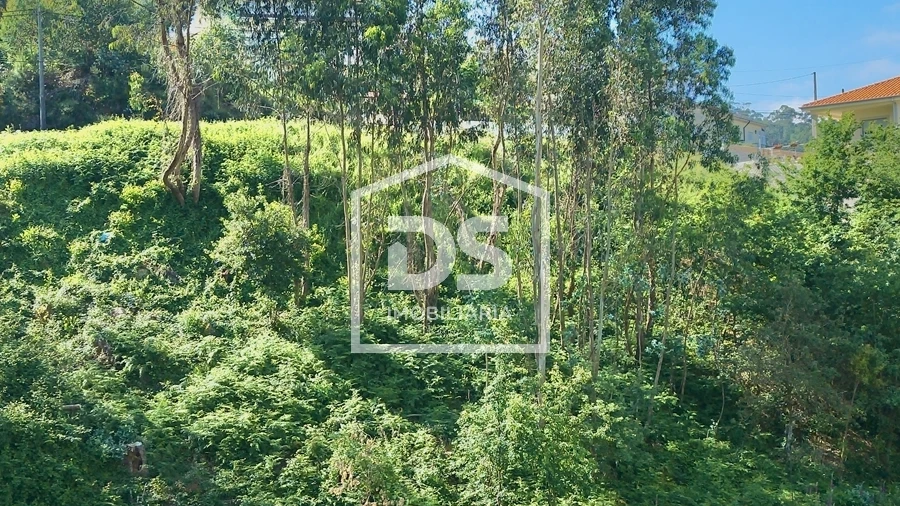 Terreno para Venda em Rebordosa