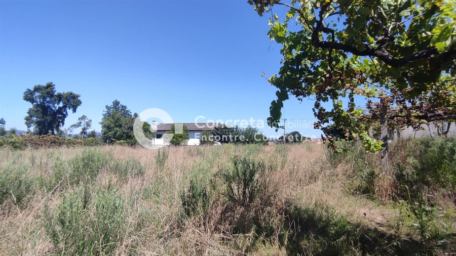 Moradia T4 para Venda em Varzea Foto 24