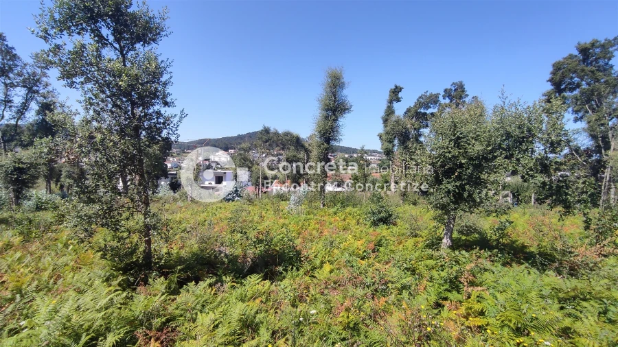 Moradia T4 para Venda em Varzea Foto 26