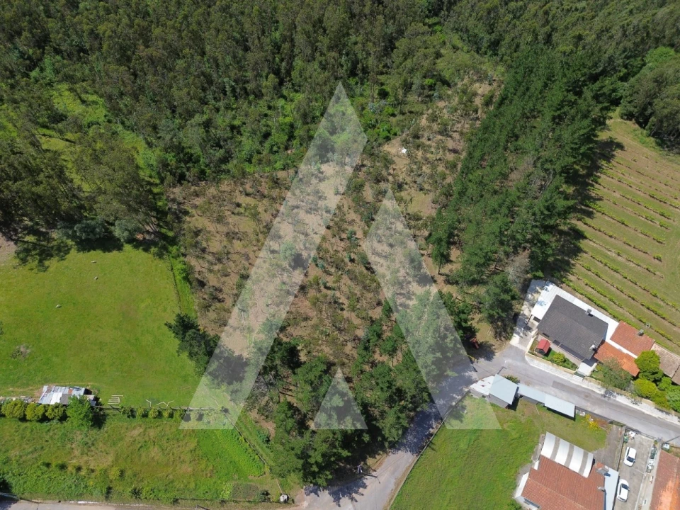 Terreno para Venda em Macinhata do Vouga Foto 1