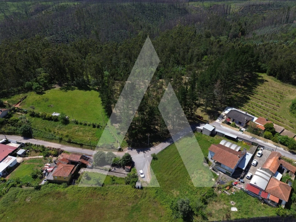 Terreno para Venda em Macinhata do Vouga Foto 9