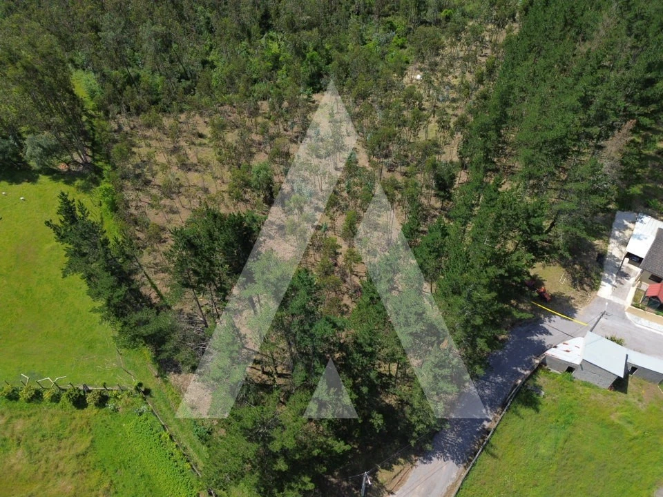 Terreno para Venda em Macinhata do Vouga Foto 11