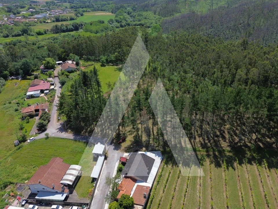 Terreno para Venda em Macinhata do Vouga Foto 12