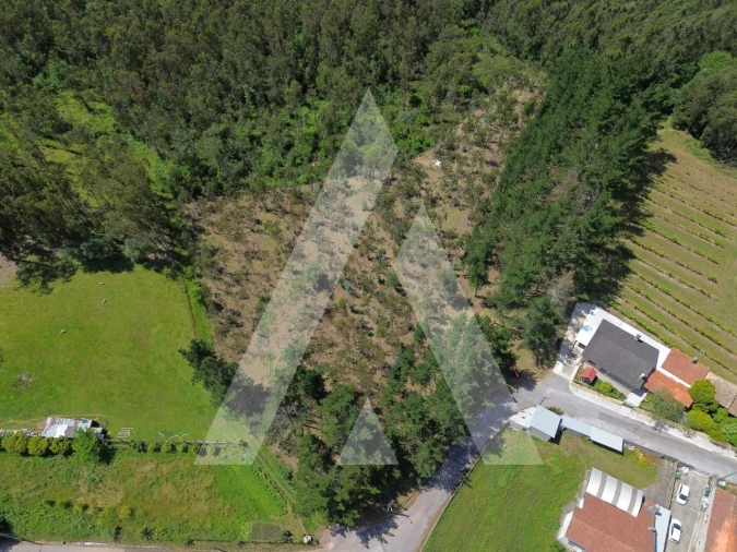 Terreno para Venda em Macinhata do Vouga