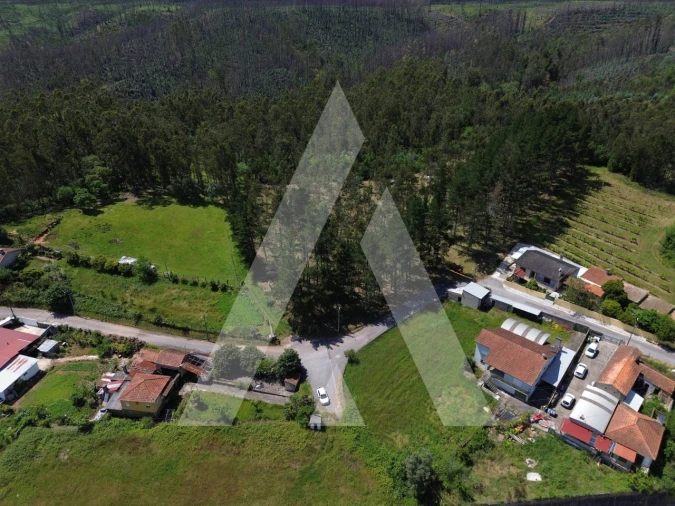 Terreno para Venda em Macinhata do Vouga Foto 9