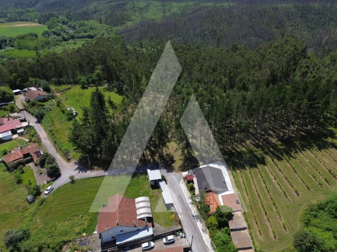 Terreno para Venda em Macinhata do Vouga Foto 13